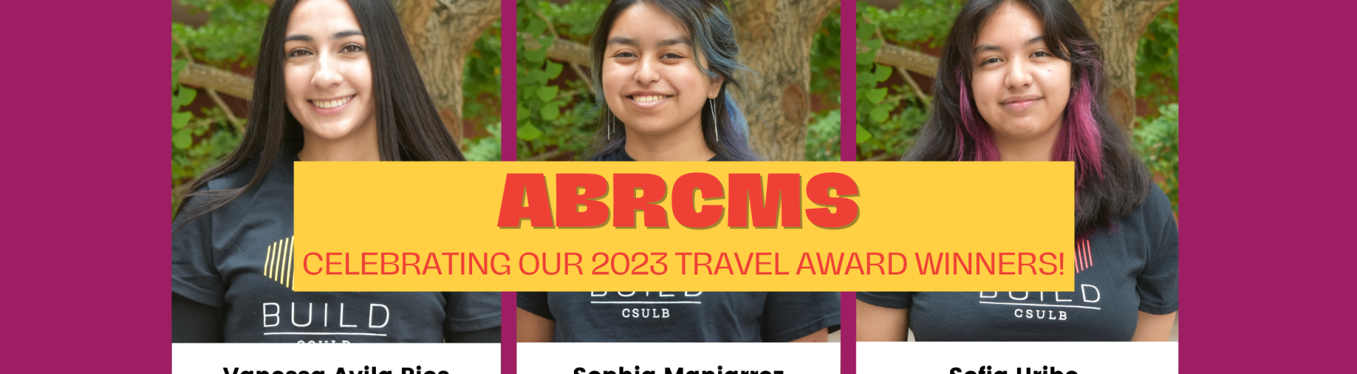 travel award abrcms